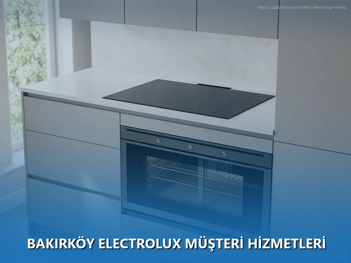 Bakırköy Electrolux Müşteri Hizmetleri