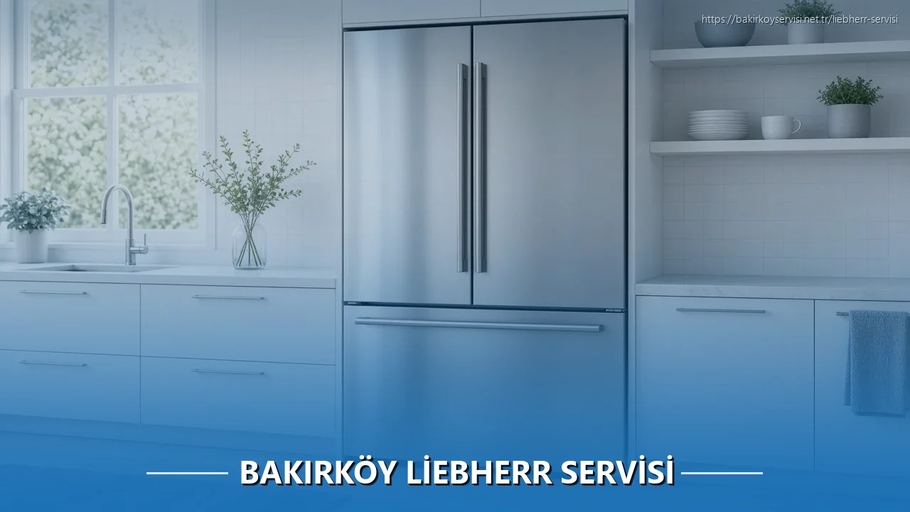 Bakırköy Liebherr Servisi